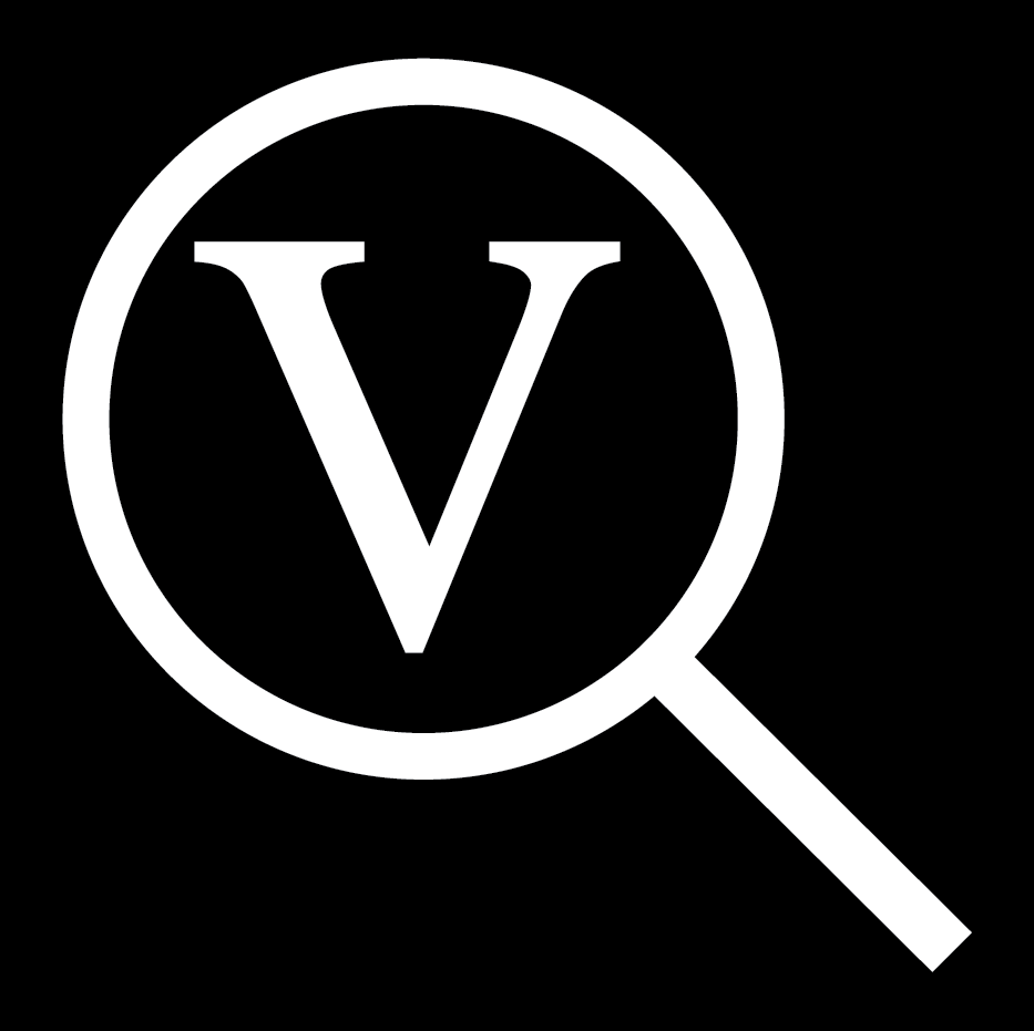Virtuous Search Partners